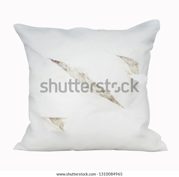 Torn Pillow On White Background Stock Photo (Edit Now) 1310084965