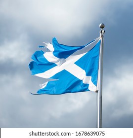 Torn Scottish Saltire Flag Flapping In Cloudy Sky