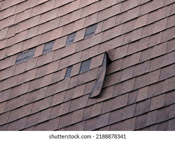 Torn Shingle and Missing Shingles