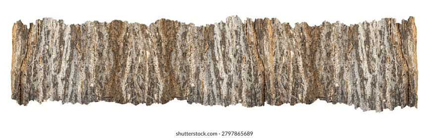 Torn Tree Bark Strips Isolated on White Background Natural Rustic Border Elements