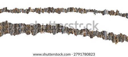 Torn Tree Bark Strips Isolated on White Background Natural Rustic Border Elements