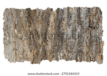 Torn Tree Bark Strips Isolated on White Background Natural Rustic Border Elements