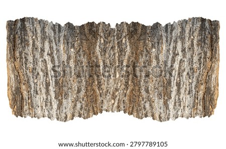 Torn Tree Bark Strips Isolated on White Background Natural Rustic Border Elements