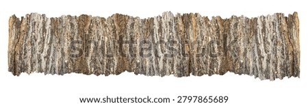 Torn Tree Bark Strips Isolated on White Background Natural Rustic Border Elements
