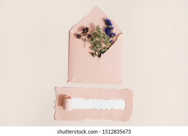 Torn Watercolor Paper. Mocap Greeting Card. Mint And Hyssop Flower. Natural Homemade Tea. Tea Flowers. Christmas Or Valentine's Day. Top View, Copy Space.