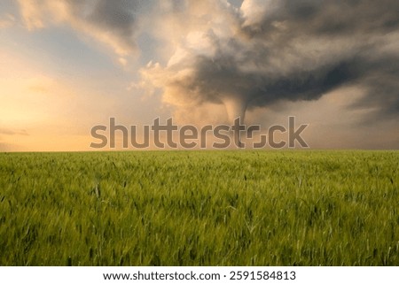 Tornado forming over open fields, dark storm clouds swirling, touching the ground.