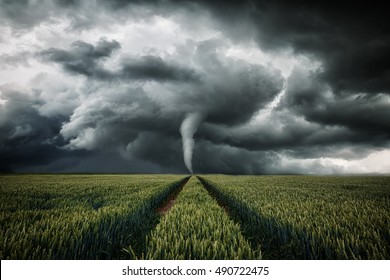 Tornado raging over a landscape - storm over cornfield