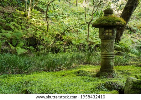 Toro Japanese Stone lantern covered in moss in Hokoku-ji Temple, Kamakura, Japan. Known as the 