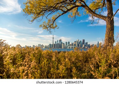 Toronto In The Autumn - Toronto Islands