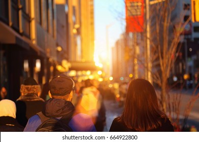 Toronto Bloor Street On A Sunset