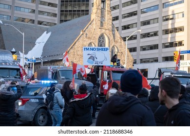 Toronto Canada Feb 5 2022: Sign I'm No Sheep In The Crowd Of People And Trucks At Peaceful Protest Against Covid 19 Mandates And Restrictions And Mandatory Vaccination In Toronto City Downtown.