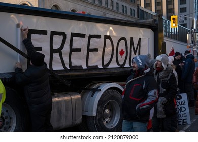 Toronto Canada Feb 5 2022: Man Attaching Sign Freedom To The Side Of The Truck At Peaceful Protest  Against Covid 19 Mandates, Restrictions And Mandatory Vaccination.  