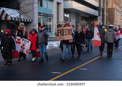 Toronto Canada Feb 5 2022: Man Holding Sign Freedom  At Peaceful Protest Against Covid 19 Mandates And Restrictions And Mandatory Vaccination In Toronto City Downtown.