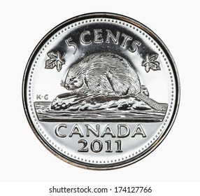 TORONTO, CANADA - JANUARY 31, 2013:  The Canadian five cent coin carries the picture of the beaver, which is the symbol of an industrious animal and important in the historic fur trade.