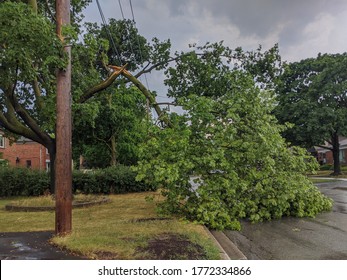 Toronto, Canada - Jul 8, 2020: Broken Fallen Tree Branch After Severe Heavy Thunder Storm. Severe Weather, Heavy Rain, Hailstorm, Strong Winds, Tornadoes, Hurricane Concept.