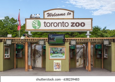 Toronto Zoo Hd Stock Images Shutterstock