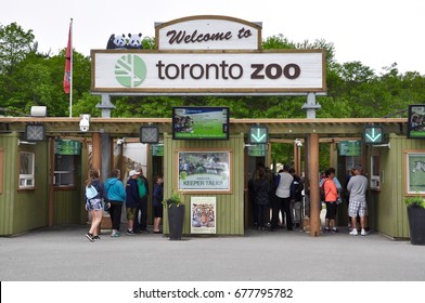 Toronto Zoo Hd Stock Images Shutterstock