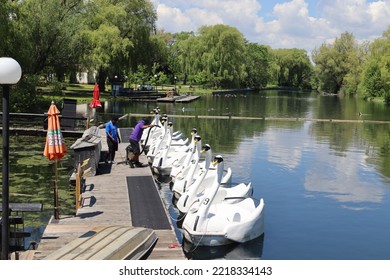 Toronto, Canada, June 4th 2022: Swan Boats On Toronto Islands.