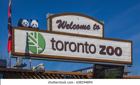 Toronto Zoo Hd Stock Images Shutterstock