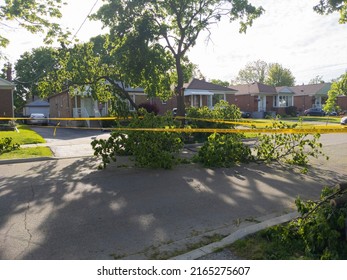 Toronto Canada May 24: Residential Street Closed Off With Yellow Caution Tape Due To Fallen Tree During A Wind Storm.Severe Weather, Heavy Rain, Hailstorm, Strong Wind Gusts, Tornadoes, Hurricane Conc