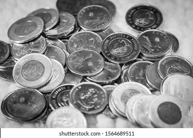 TORONTO CANADA - NOV 19, 2019: Canadian $1 Dollar Coins Or Loonie And $2 Dollar Coins Or Toonie On White Background