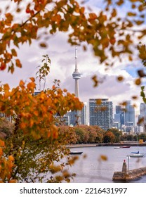 Toronto, Canada - October 19, 2022 : Colorful Fall Foliage Framing The CN Tower And Toronto Skyline From Ontario Place 