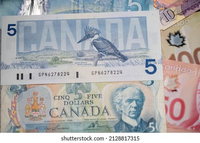 Toronto, Canada - October 30. 2021: Beautiful Canadian Dollar Banknotes With Scenes Of Canada Design. Canadian Money, Different Five Dollar Bill Designs