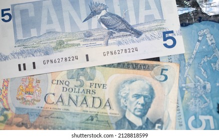 Toronto, Canada - October 30. 2021: Beautiful Canadian Dollar Banknotes. Five CAD Dollar Bills. Birds Of Canada Design On The 5 Dollar Bill