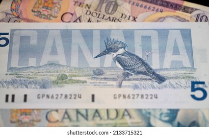 Toronto, Canada - October 30. 2021: Canadian Dollar Banknotes, CANADA Text On Bill. Birds Of Canada Banknote, Five Dollar