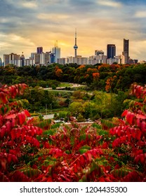 TORONTO CITY SKYLINE IN FALL - Beautiful Sunset Scene Of Toronto In Fall/autumn With Colorful Trees. Gorgeous Rare Seasonal Image Of City Landscape With Red And Orange Colors. Toronto, Ontario, Canada