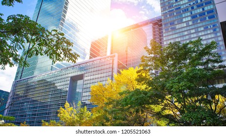 Toronto Financial District Skyline