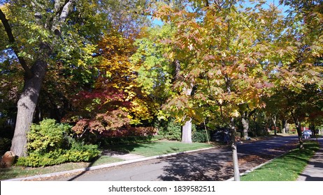 Toronto neighborhood streets with beautiful colorful fall trees 