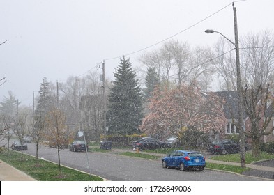 Toronto, ON / Canada - 05-09-2020: Unusual Snowfall In May In Greater Toronto Area Surprised People.