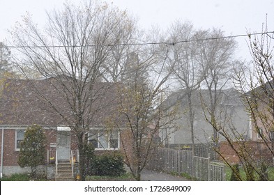 Toronto, ON / Canada - 05-09-2020: Unusual snowfall in May in Greater Toronto area surprised people.