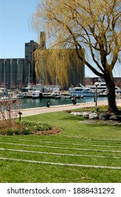 Toronto - Ontario - Canada - 04.15.2019 - Toronto City Park Harbourfront On Springtime.