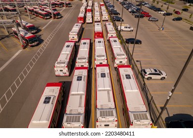 Toronto, Ontario, Canada – September 9, 2022: TTC Buses Public Transit At Maintenance Bus Bay And Bus Stop Storage Facility At Parking At Golden Hour And Long Shadows Ready To Serve City Commuters. 