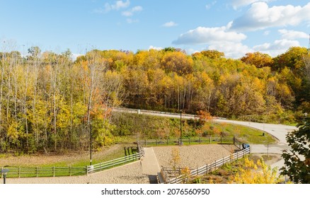 Toronto, Winston Churchill Park And Dog Park - Trees In Full Autumn Colors