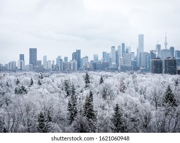 A Toronto Winter Wonderland Cityscape