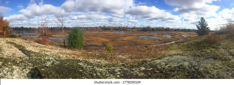 Torrance, Ontario, Canada-Oct. 25,2015: Hiking Trail Through The Dark Sky Preserve