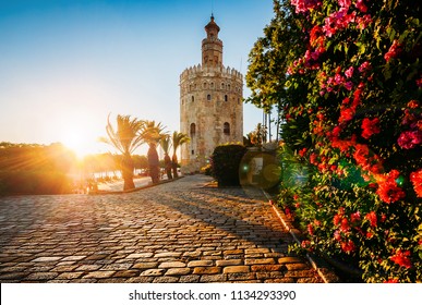 Torre de Oro, wat de Gouden Toren betekent, is een toren van Albarrana, gelegen op de linkeroever van de rivier de Guadalquivir