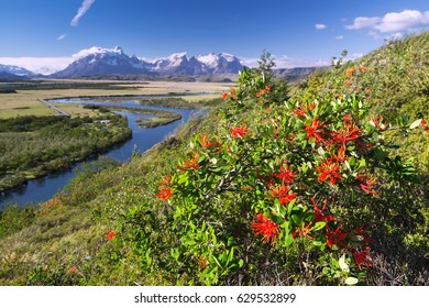 Torres Del Paine National Park, Chile 