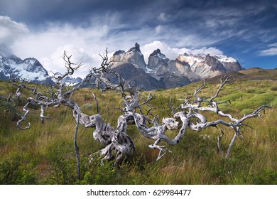 Torres Del Paine National Park, Patagonia, Chile