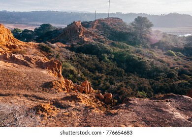 Torrey Pines Canyon In San Diego, California