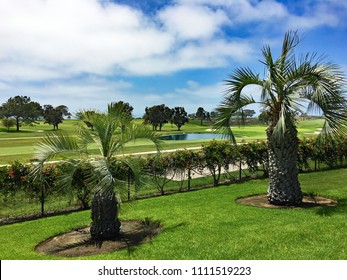 Torrey Pines Golf Course, June 2018