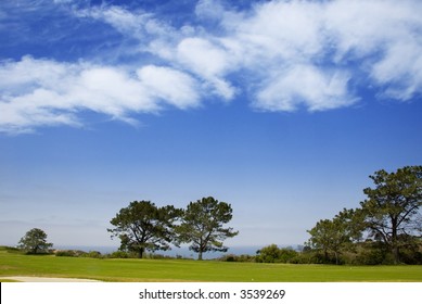 Torrey Pines Golf Course In La Jolla, California