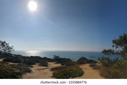 Torrey Pines State Natural Reserve 11/10/2019