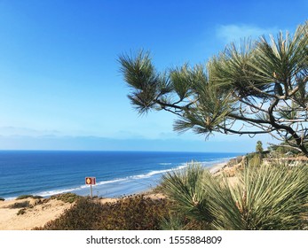 Torrey Pines State Natural Reserve 11/10/2019