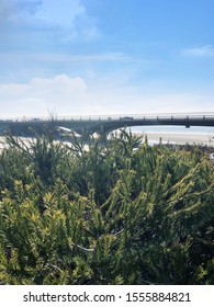 Torrey Pines State Natural Reserve 11/10/2019