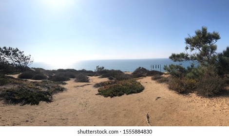 Torrey Pines State Natural Reserve 11/10/2019