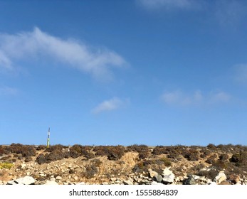 Torrey Pines State Natural Reserve 11/10/2019